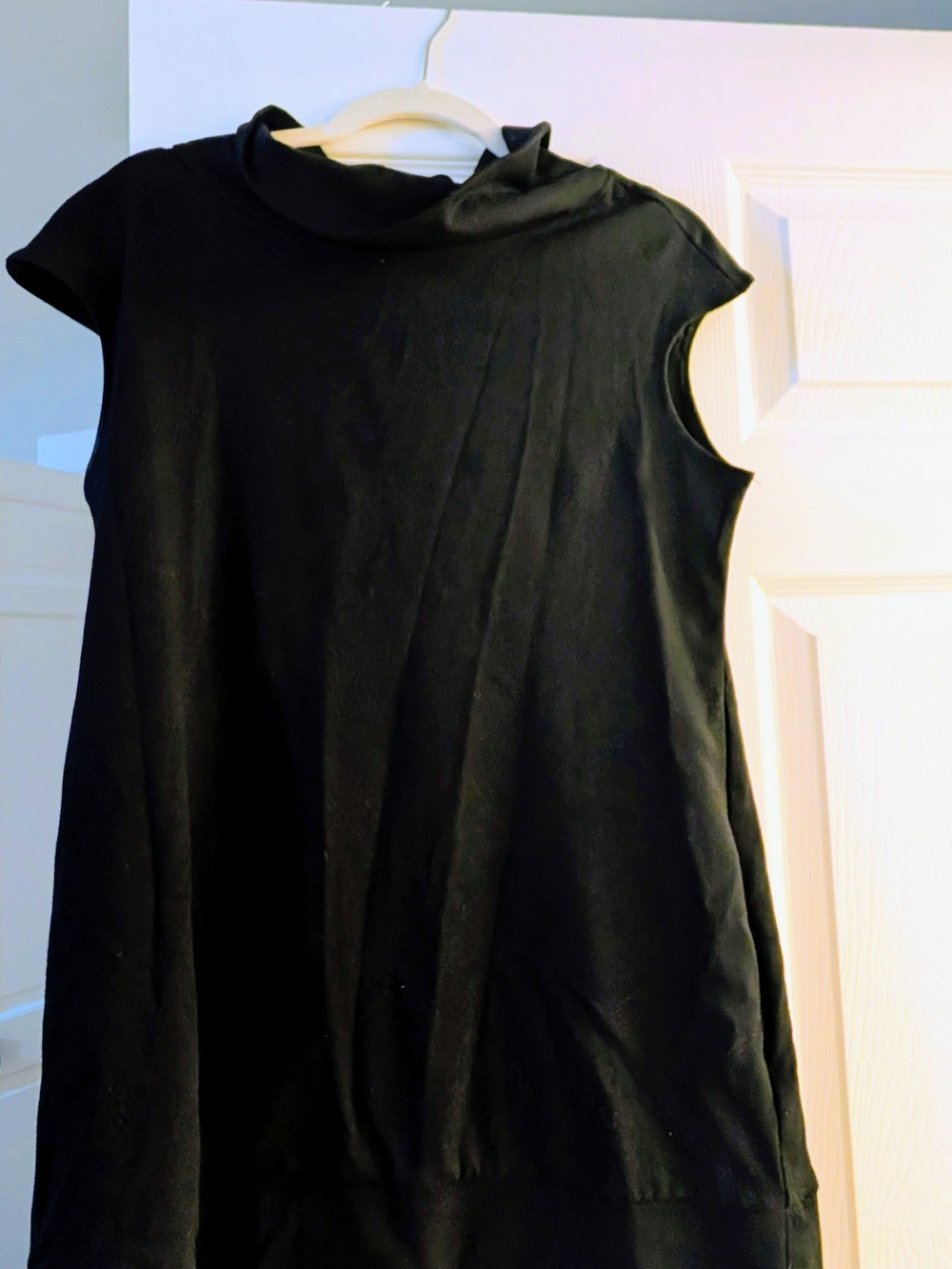 Express Black Sleeveless Mock Neck Mini Dress